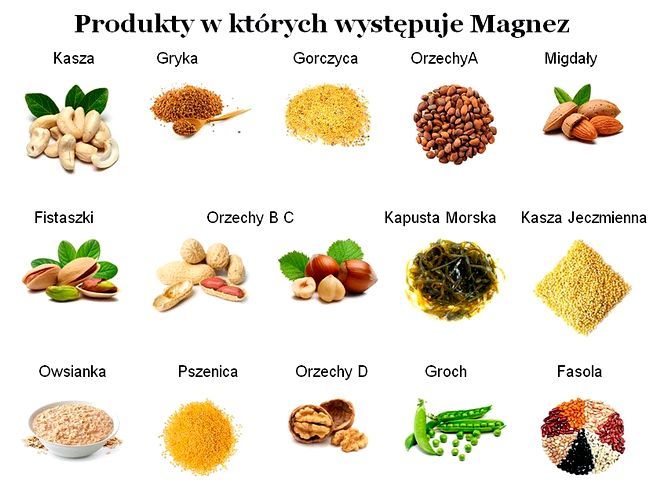 portal medyczny