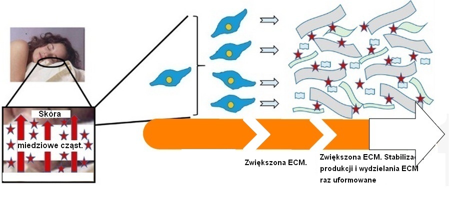 baza zdrowie 