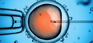 Spór o in vitro. Wojewoda unieważnił gdański program dofinansowujący zabiegi