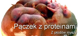 Od młodych lat możesz być piękny zdrowy i bogaty – spróbuj chociaż