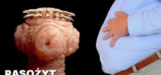 Salmonella w paście jajecznej i krokietach w przedszkolu w Chotomowie co jeszcze? pasożyty, wirusy, bakterie
