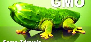 Europejskie organizacje ochrony zdrowia przeciw trucicielom. W tle żywność GMO