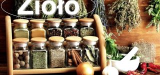 Fitofarmakologia – mowa o leczeniu ziołami