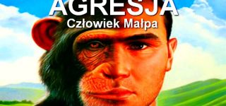 Agresja w tym przypadku natura ludzi behawioralnie nie różni się od natury małp