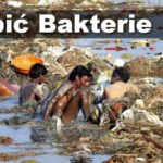 Dlaczego Hindus stojąc w Gangesie uodpornił się? O tym jak wirusy zabijają bakterie