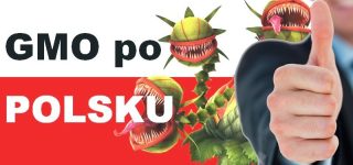 Polscy naukowcy o żywności modyfikowanej a także o tym że producenci roślin chcieli szybkiego jej wprowadzenia i o tym że Polaków mało GMO interesuje