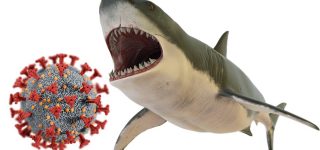 Pomimo epidemii COVID-19, Microsoft, Oracle, Siemens, Philips, robią ogromny biznes na zdrowiu