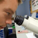 Niski poziom w polskich państwowych laboratoriach badających żywność