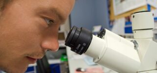 Niski poziom w polskich państwowych laboratoriach badających żywność