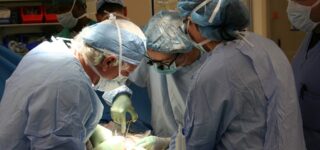 W 2016 roku były huczne zapowiedzi a w 2022 w Polsce czeka się 12 lat na transplantacje
