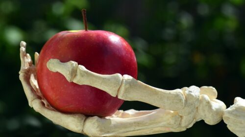 Lista 100 substancji biochemicznych toksycznych wśród nich nie tylko tal ale leki trudno wykryć